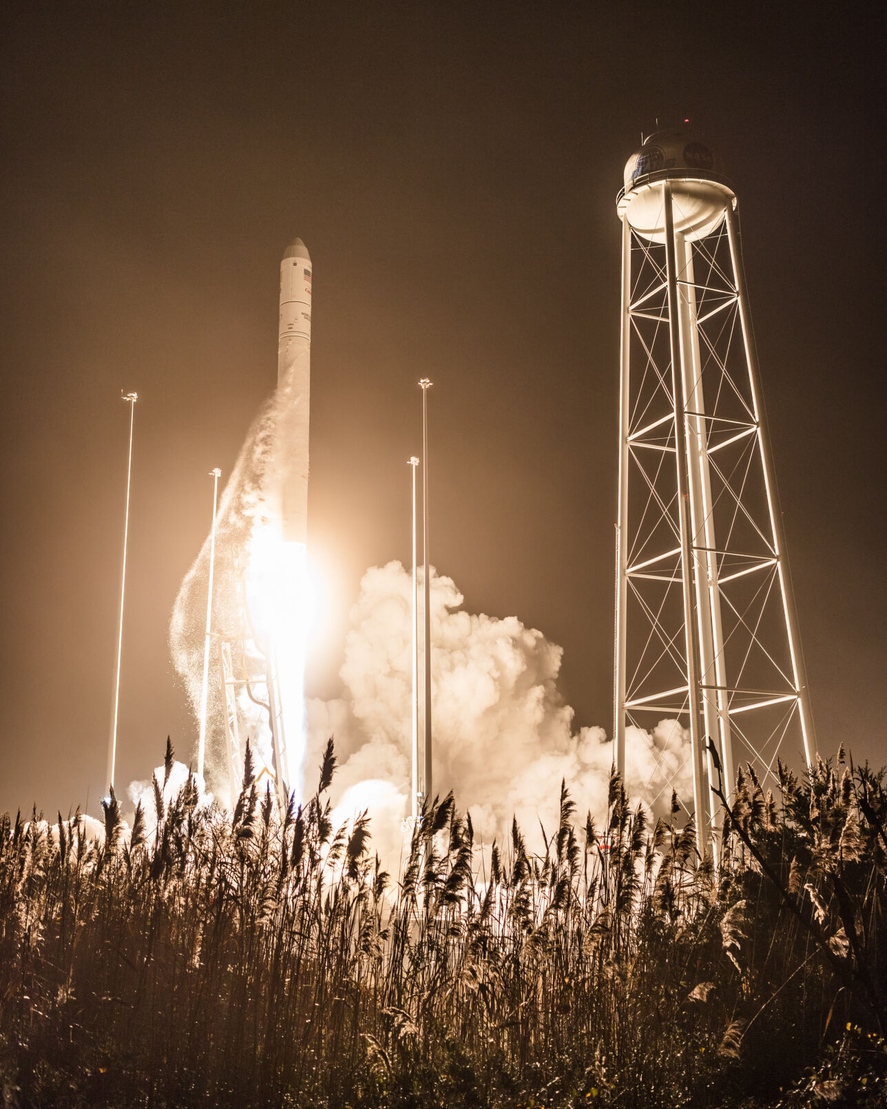 Cygnus